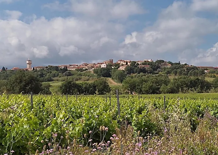 Au P'tit Bois * Banyuls-dels-Aspres
